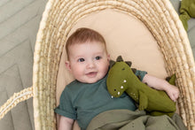 Cargar imagen en el visor de la galería, Peluche - Dino