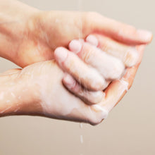 Cargar imagen en el visor de la galería, Corporal - Leche corporal hidratante con aceite de Jojoba