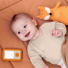 Cargar imagen en el visor de la galería, Peluche - Fox