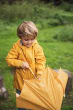 Cargar imagen en el visor de la galería, Complementos kids - Paraguas - Lion