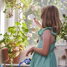 Cargar imagen en el visor de la galería, Clixo - Window Pack