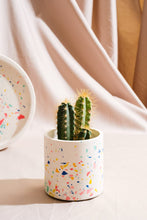 Cargar imagen en el visor de la galería, Terrazo ikastaroa - Balma studio