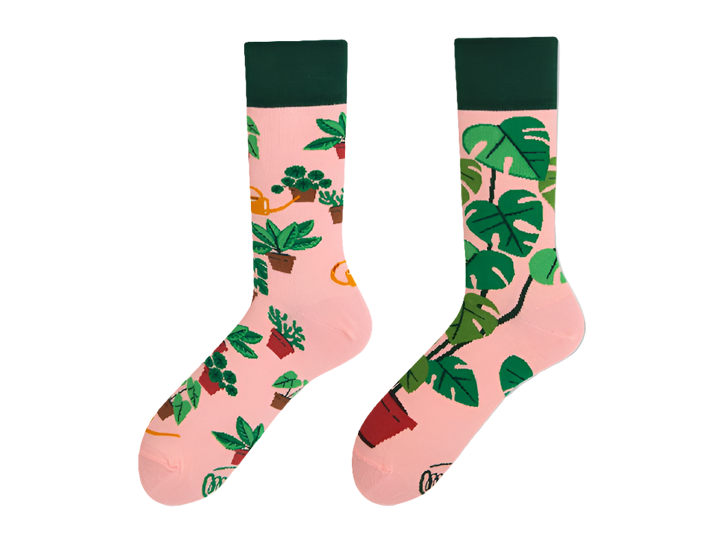 Monstera socks