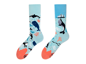 Ocean socks