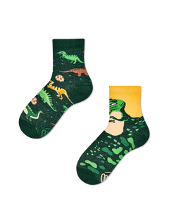 Kids socks - Dinosaur