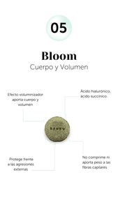 Cabello - Champú Bloom volumen y cuerpo